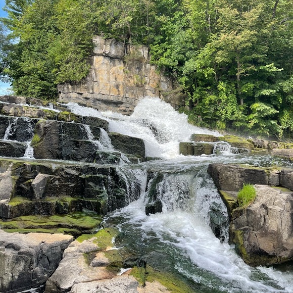 Meet your Posher, Damian - Picture 1 of 1